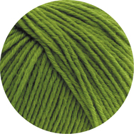 Alpina Landhauswolle Hellgrün Farbe 0017