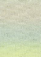 MERINO 200 Bebe Color Lang Yarns Farbe 155.0416 Grün